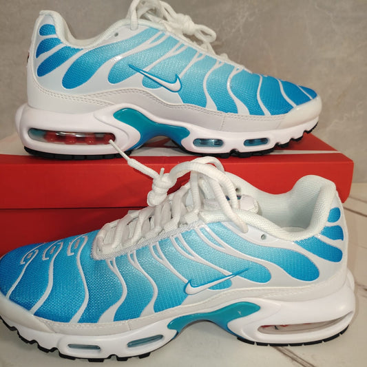 Nike Air Max Plus Bleu Blanc